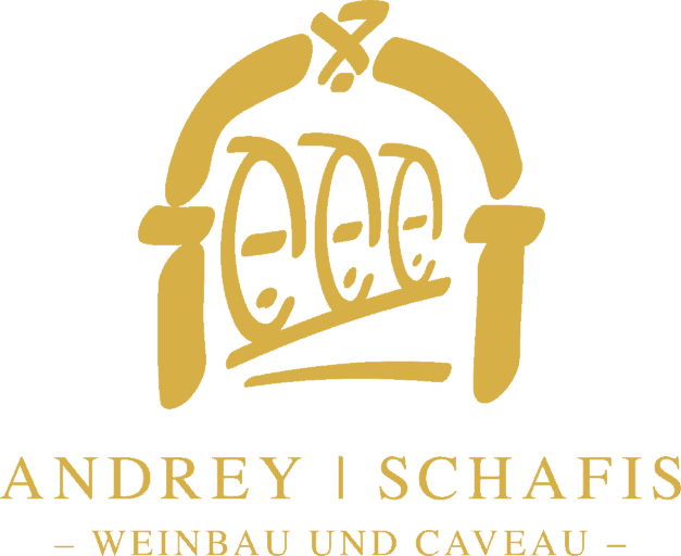 Logo Andrey Schafis